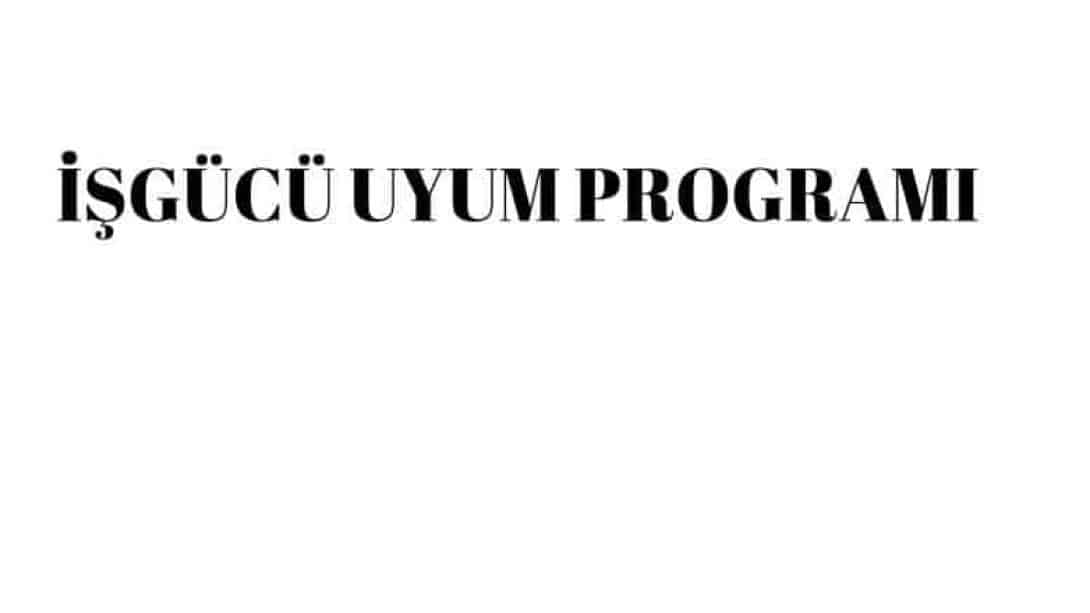 İŞGÜCÜ UYUM PROGRAMI (İUP) BAŞVURULARI BUGÜN BAŞLAMIŞTIR. SON GÜN 08.09.2024 